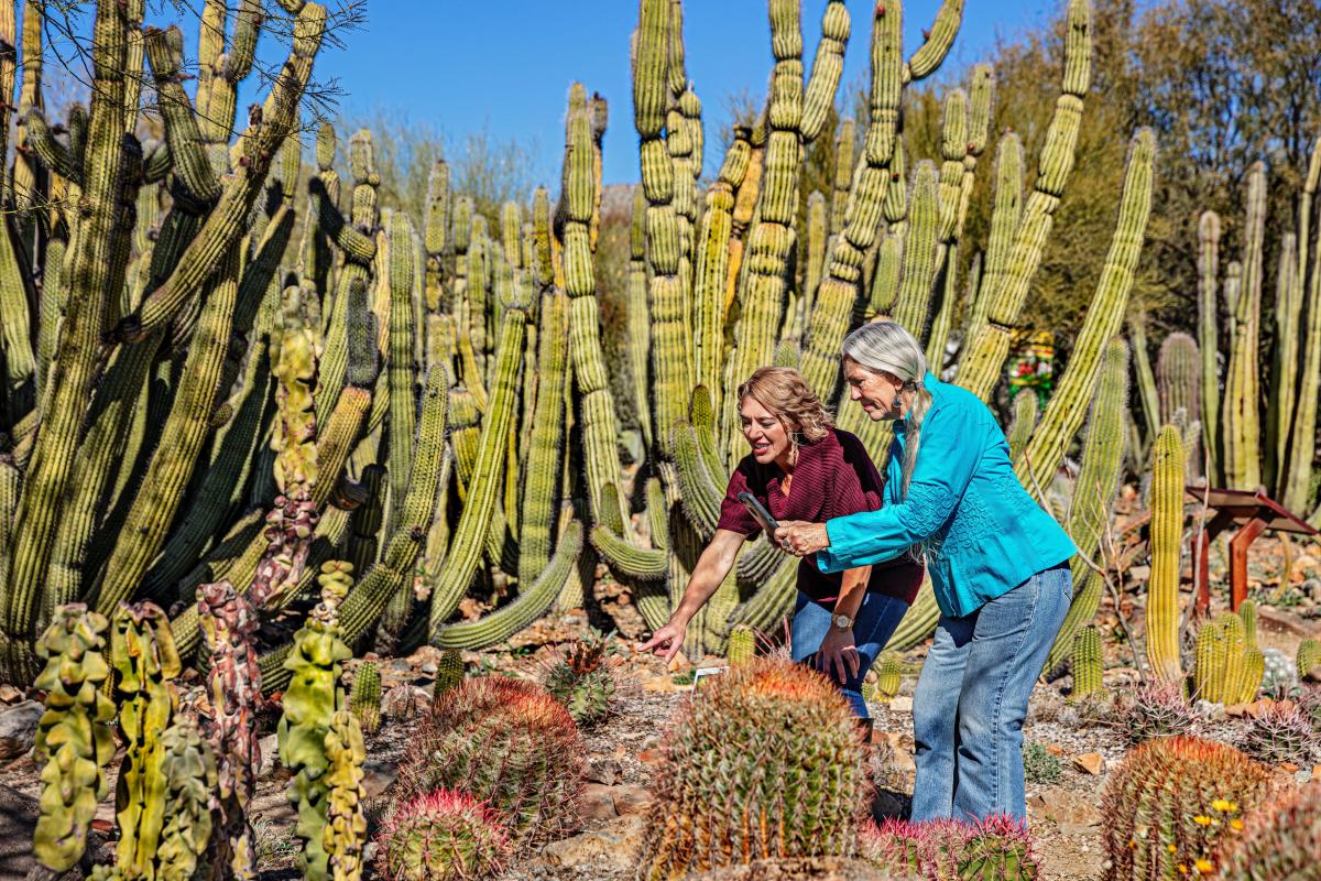 A Solo Female Traveller’s Guide to Tucson - by Visit Tucson
